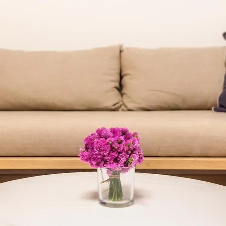 Anaya 4* 에르무폴리